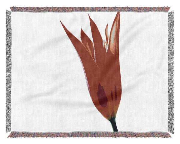 Single Fire Tulip Woven Blanket