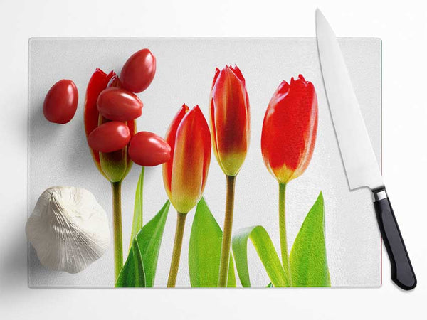 Red Tulip Quads Glass Chopping Board