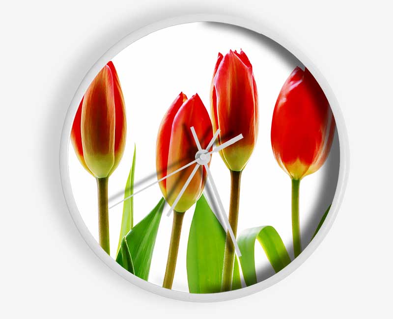 Red Tulip Quads Clock - Wallart-Direct UK