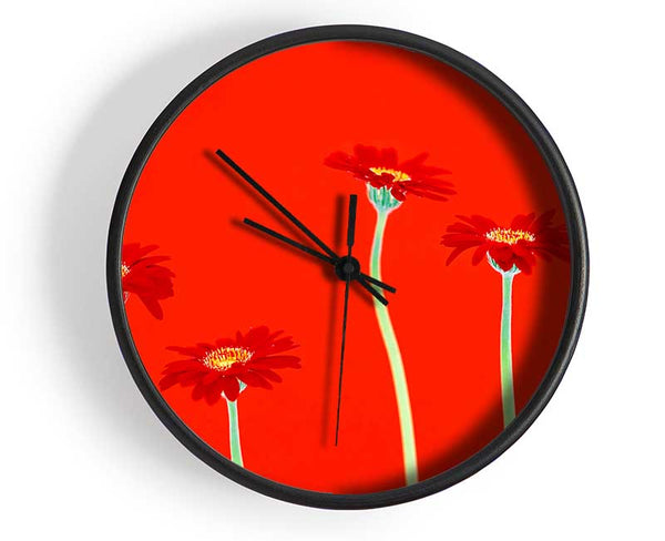 Red Daisies On Orange Clock - Wallart-Direct UK