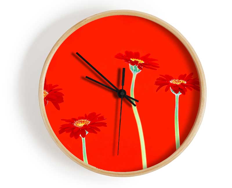 Red Daisies On Orange Clock - Wallart-Direct UK