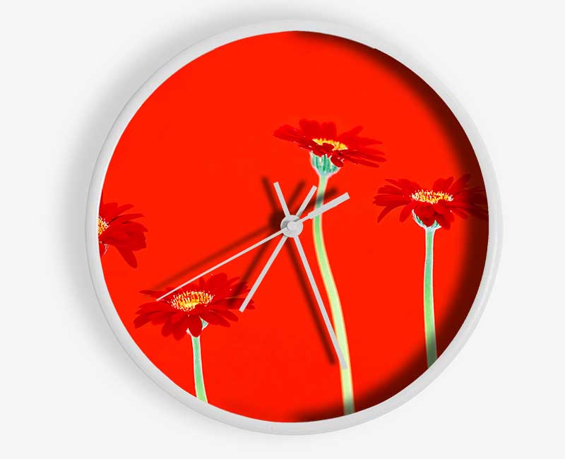 Red Daisies On Orange Clock - Wallart-Direct UK