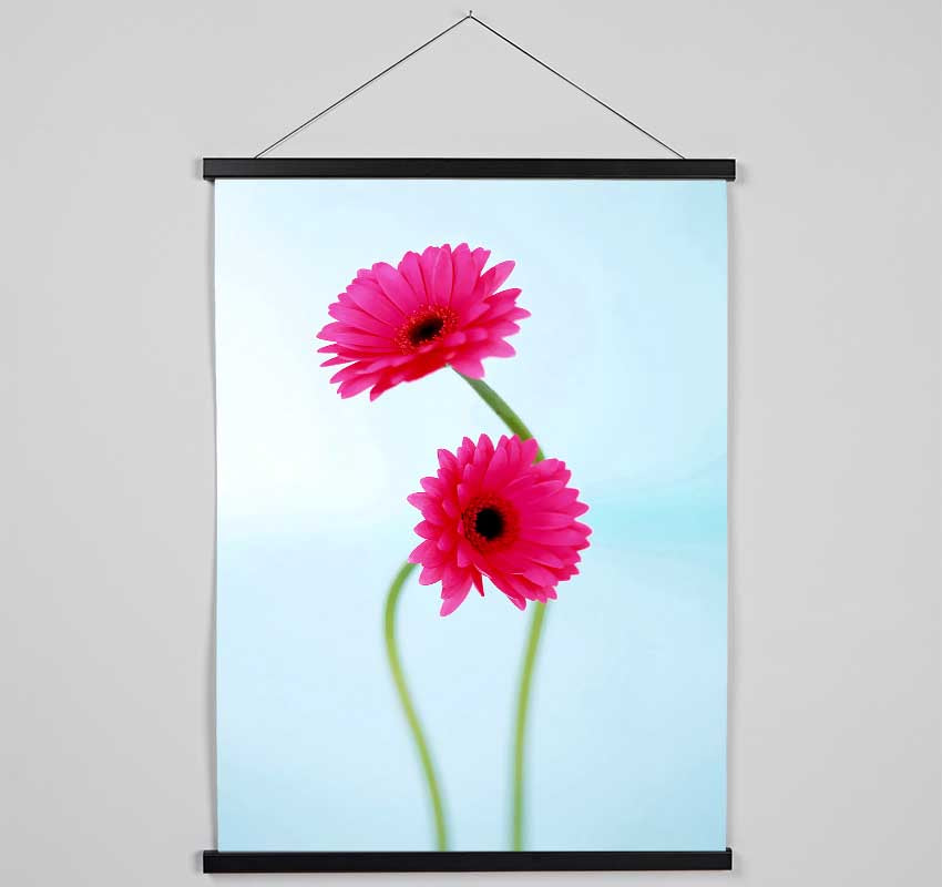 Cerise Daisy Duo On Blue Hanging Poster - Wallart-Direct UK