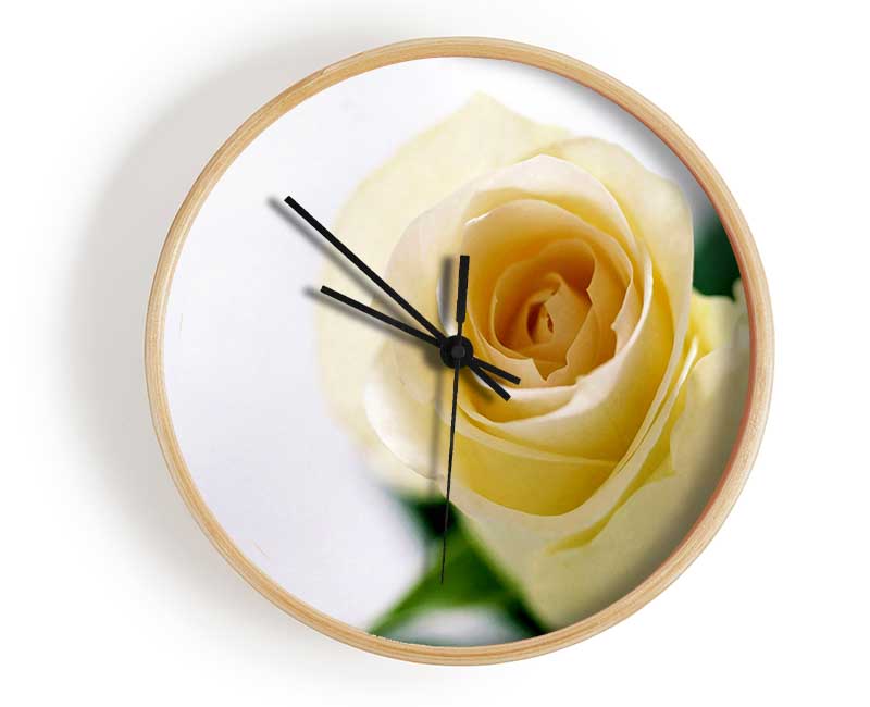 Single Cream Rose Clock - Wallart-Direct UK