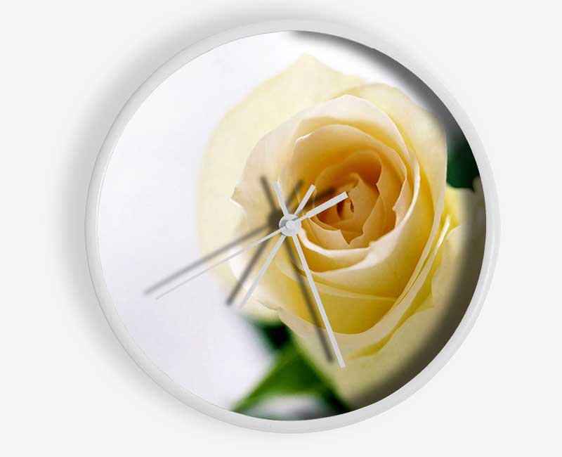 Single Cream Rose Clock - Wallart-Direct UK