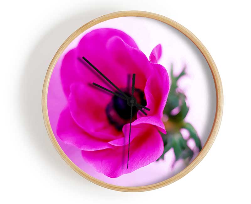 Pink Poppy Centre Clock - Wallart-Direct UK