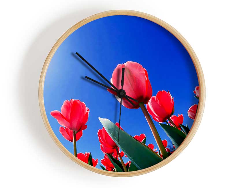 Pink Tulips In The Blazing Sun Clock - Wallart-Direct UK