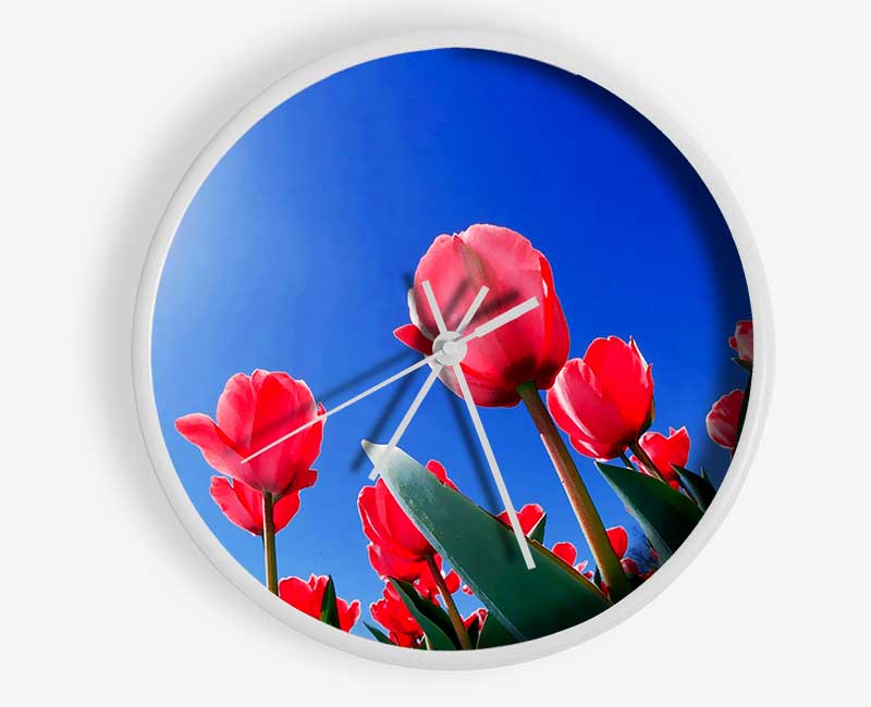 Pink Tulips In The Blazing Sun Clock - Wallart-Direct UK