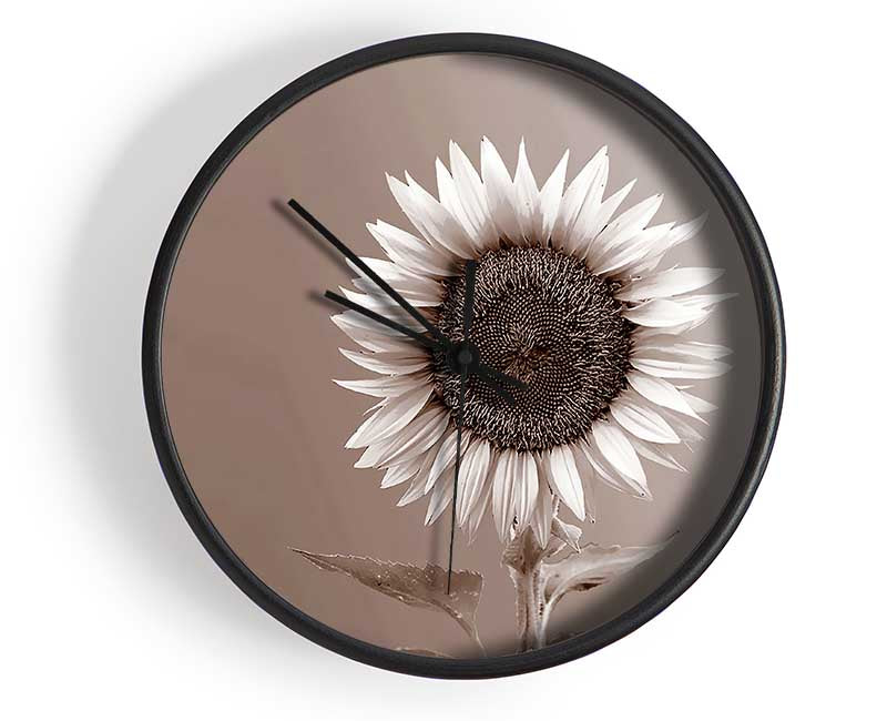 Sunflower Chocolate Clock - Wallart-Direct UK