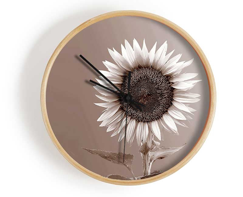 Sunflower Chocolate Clock - Wallart-Direct UK