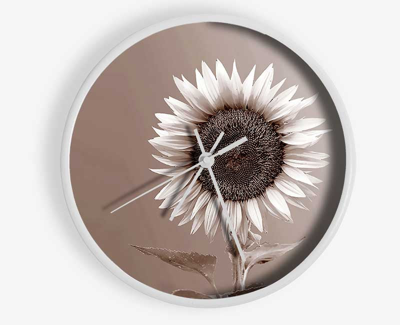 Sunflower Chocolate Clock - Wallart-Direct UK