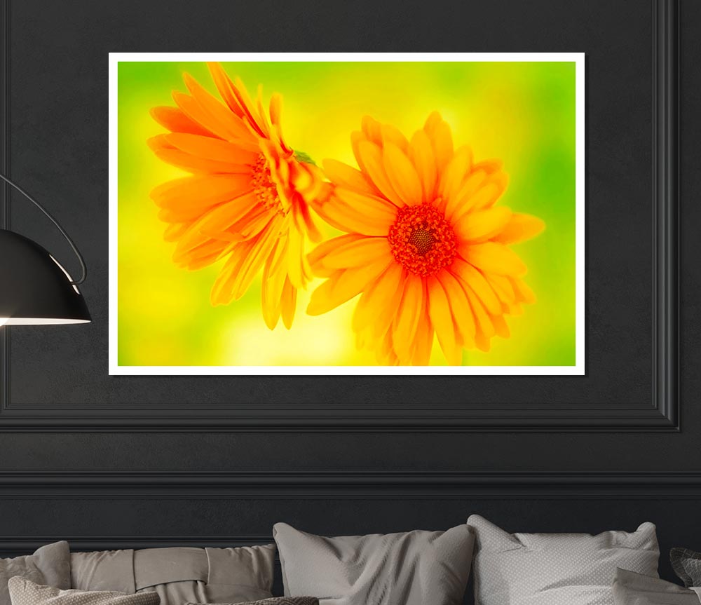 Vibrant Yellow Daisys Print Poster Wall Art