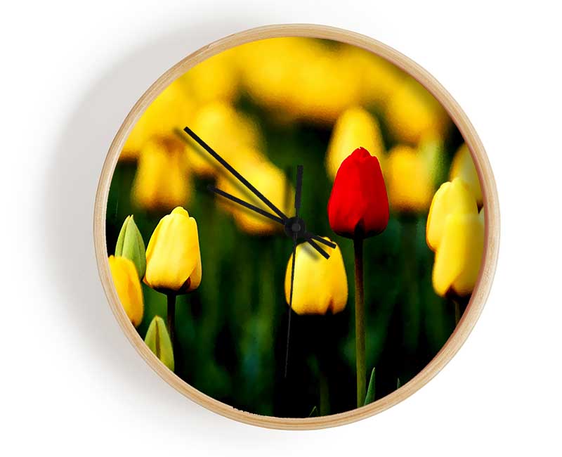 Red Tulip In A Field Of Yellows Clock - Wallart-Direct UK