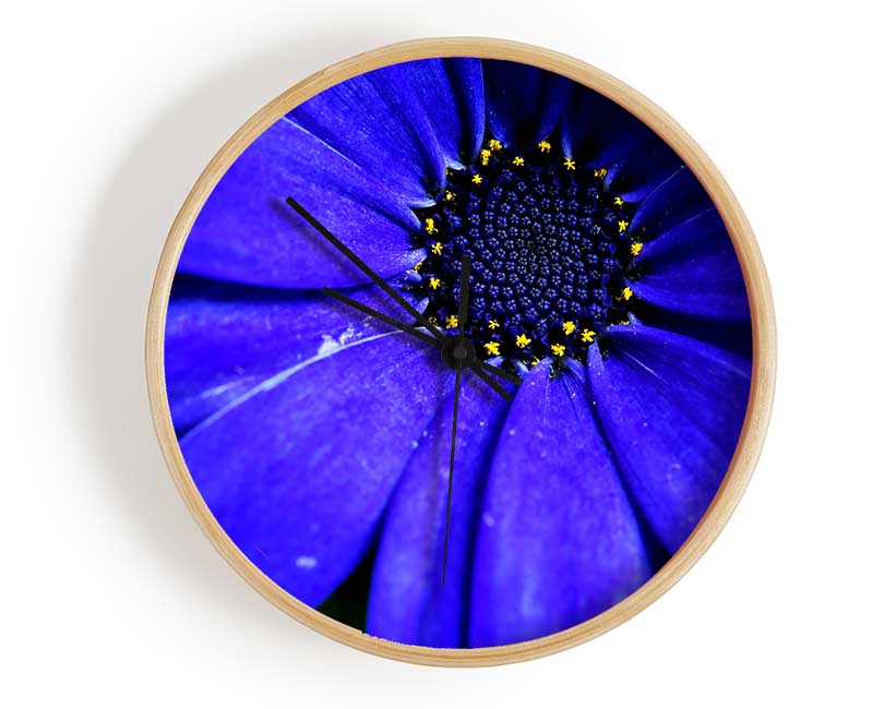 Electric Blue Petals Clock - Wallart-Direct UK