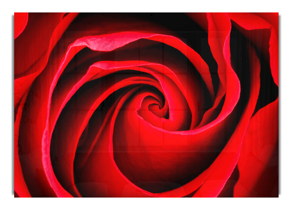 Red Rose Silk