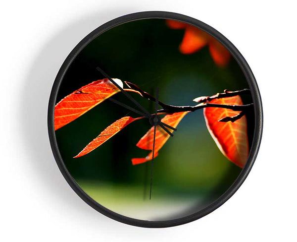 Orange Leaves In Sunlight Clock - Wallart-Direct UK