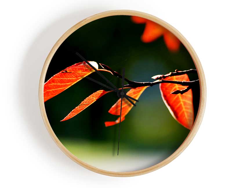 Orange Leaves In Sunlight Clock - Wallart-Direct UK