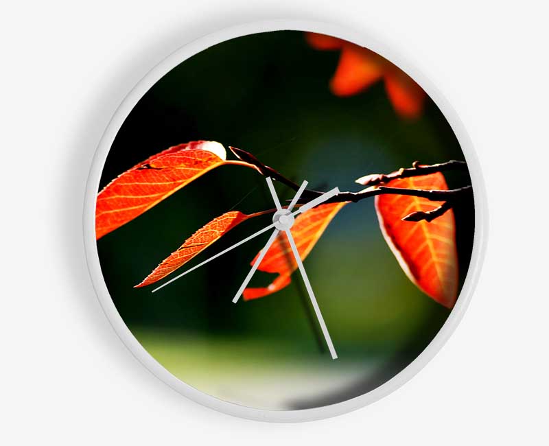 Orange Leaves In Sunlight Clock - Wallart-Direct UK