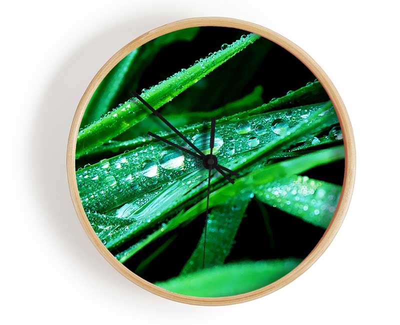 Morning Dew On Grass Clock - Wallart-Direct UK