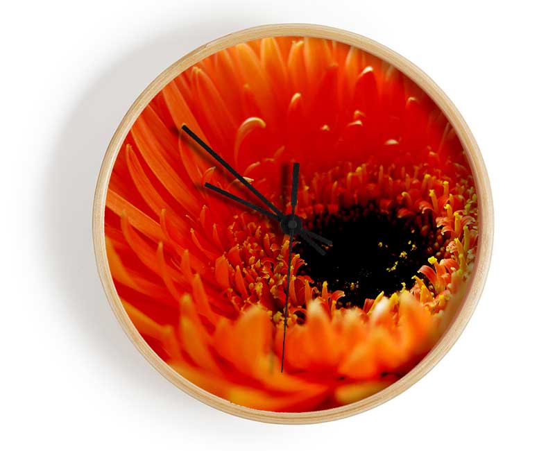 Orange Gerbera Close-Up Clock - Wallart-Direct UK