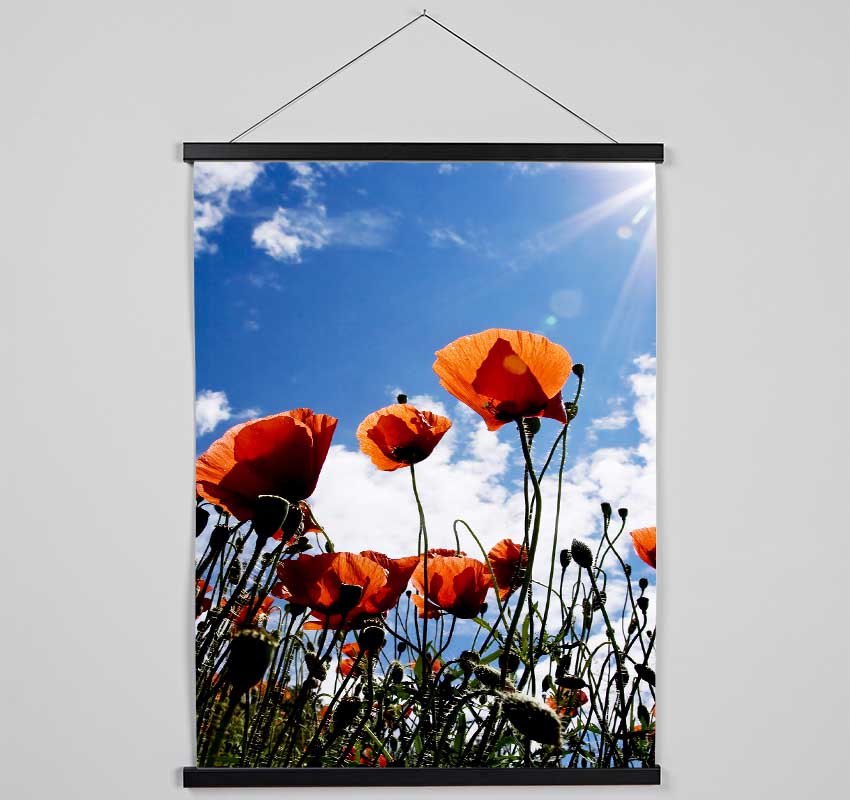 Orange Poppy Skys Hanging Poster - Wallart-Direct UK