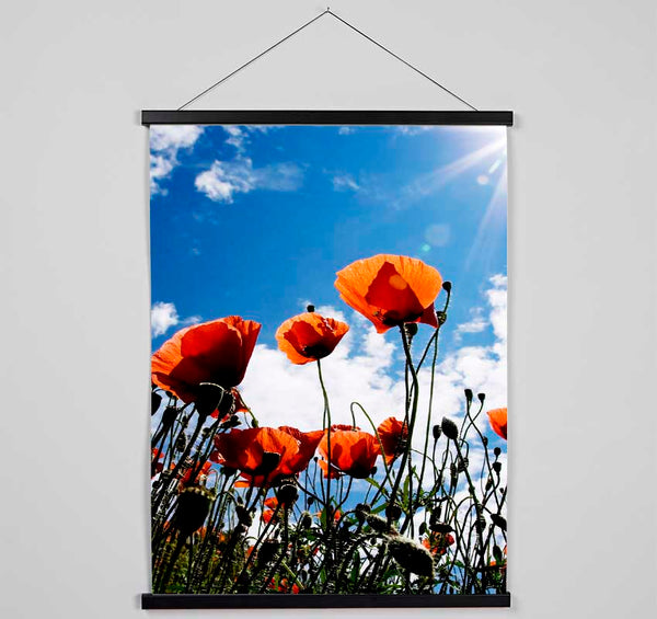 Orange Poppy Skys Hanging Poster - Wallart-Direct UK