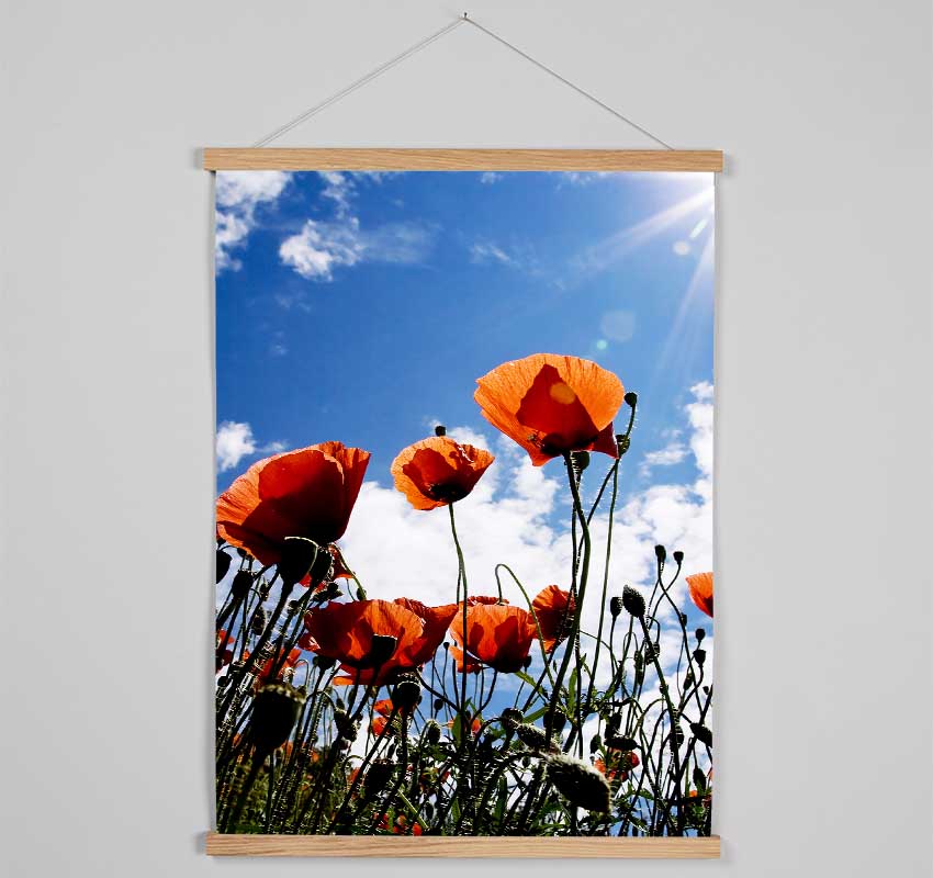 Orange Poppy Skys Hanging Poster - Wallart-Direct UK