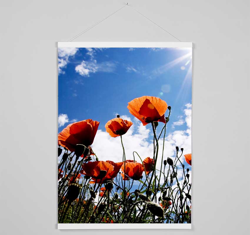 Orange Poppy Skys Hanging Poster - Wallart-Direct UK