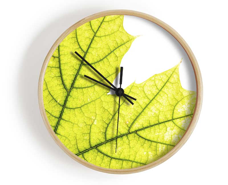 Magnificent Leaf Clock - Wallart-Direct UK