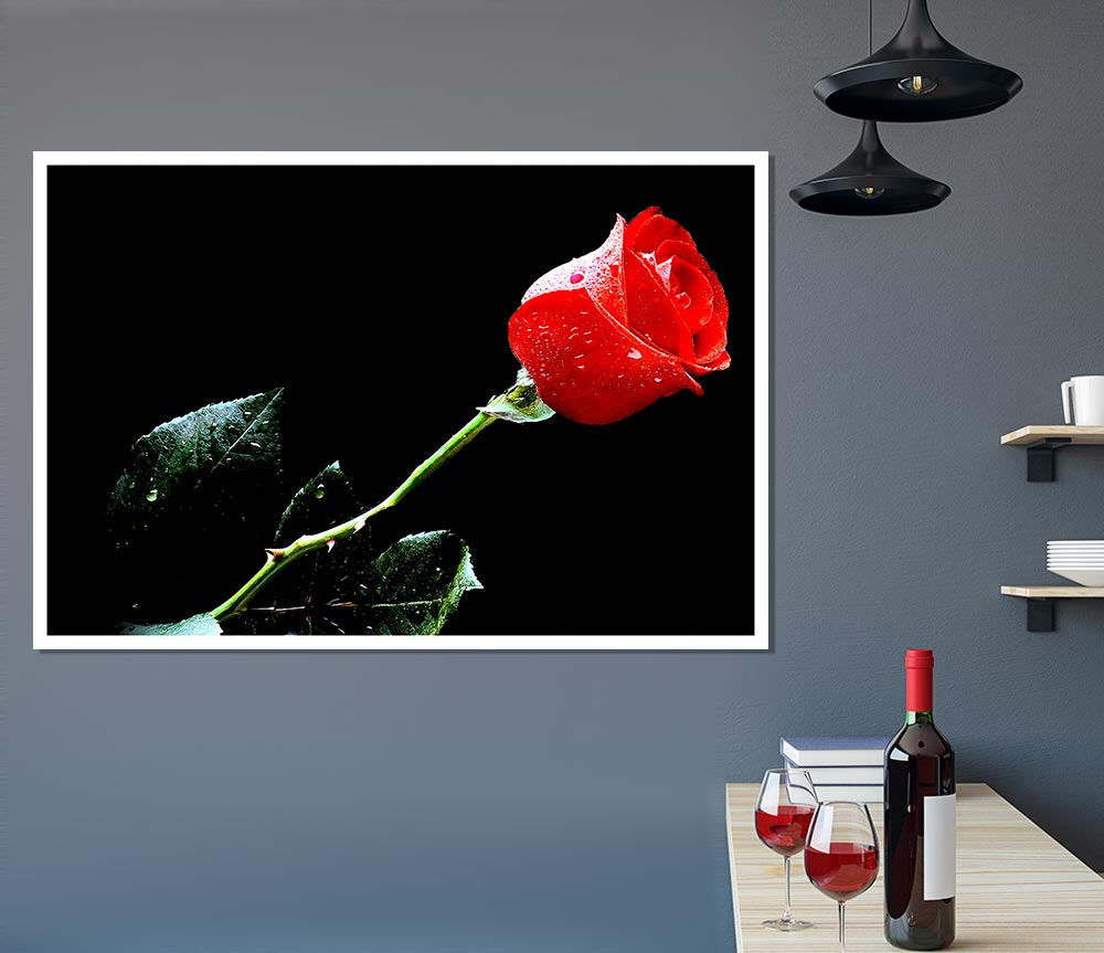 Love Of A Single Red Rose Print Poster Wall Art