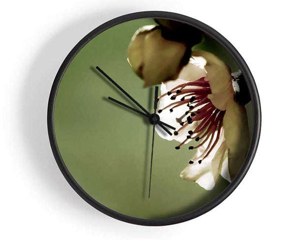 Green Apple Blossom Clock - Wallart-Direct UK