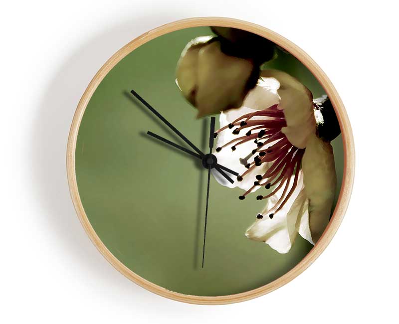 Green Apple Blossom Clock - Wallart-Direct UK