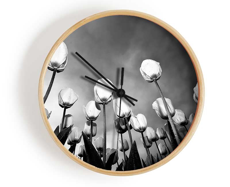 Black And White Tulip Skys Clock - Wallart-Direct UK