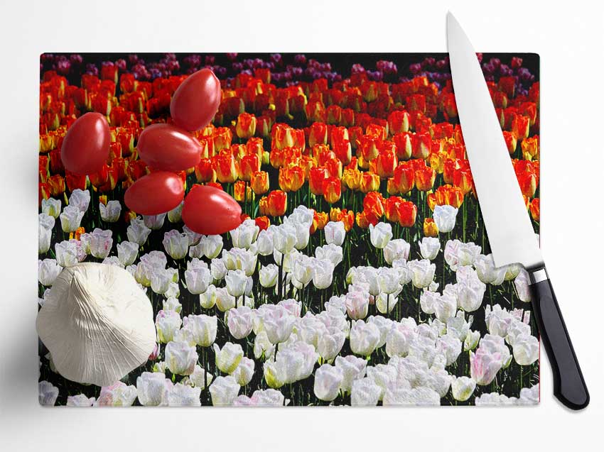 Mixed Tulip Fields Glass Chopping Board