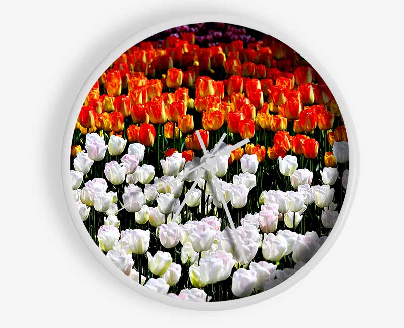 Mixed Tulip Fields Clock - Wallart-Direct UK