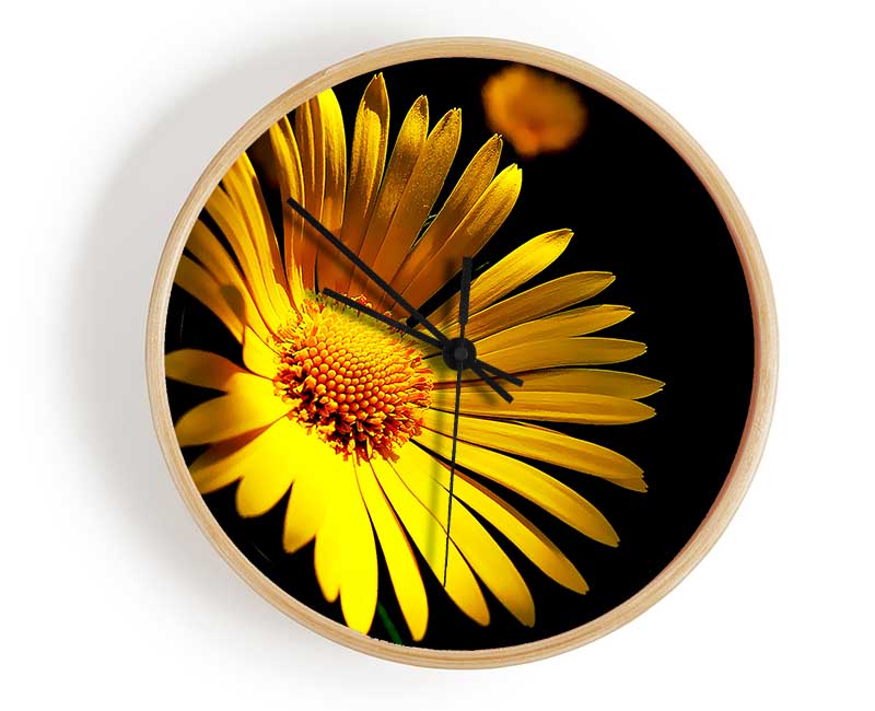 Golden Daisy Petals Clock - Wallart-Direct UK