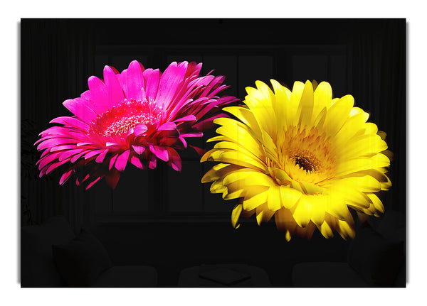 Pink And Yellow Gerbera Delight