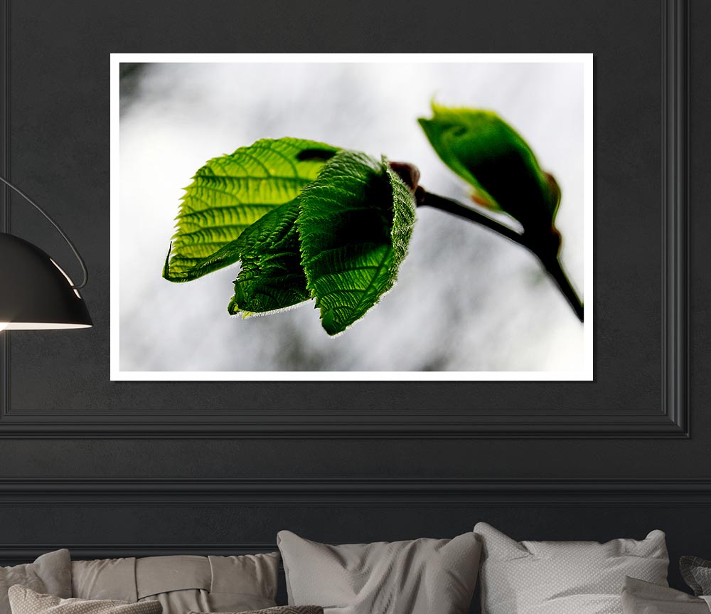 The Winter Leaves Print Poster Wall Art