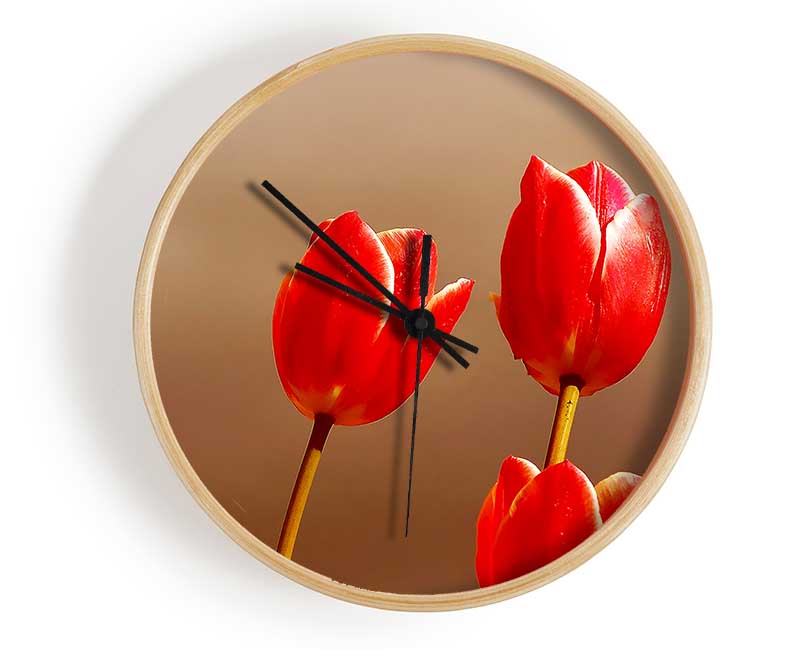 Red Tulip Trio Clock - Wallart-Direct UK