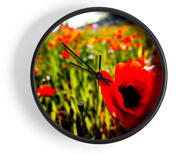 Red Poppy Fields In Golden Sunlight Clock - Wallart-Direct UK