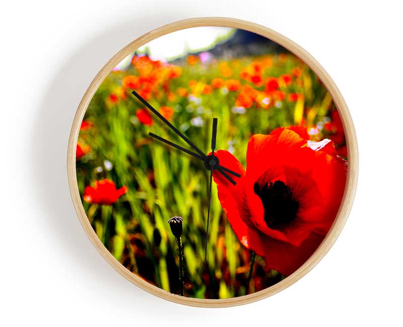 Red Poppy Fields In Golden Sunlight Clock - Wallart-Direct UK