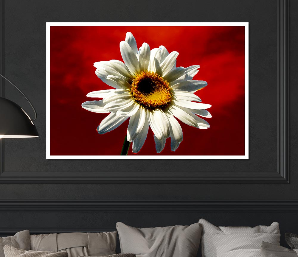 White Daisy On Red Print Poster Wall Art