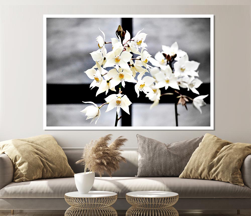 White Snowdrop Cross Print Poster Wall Art