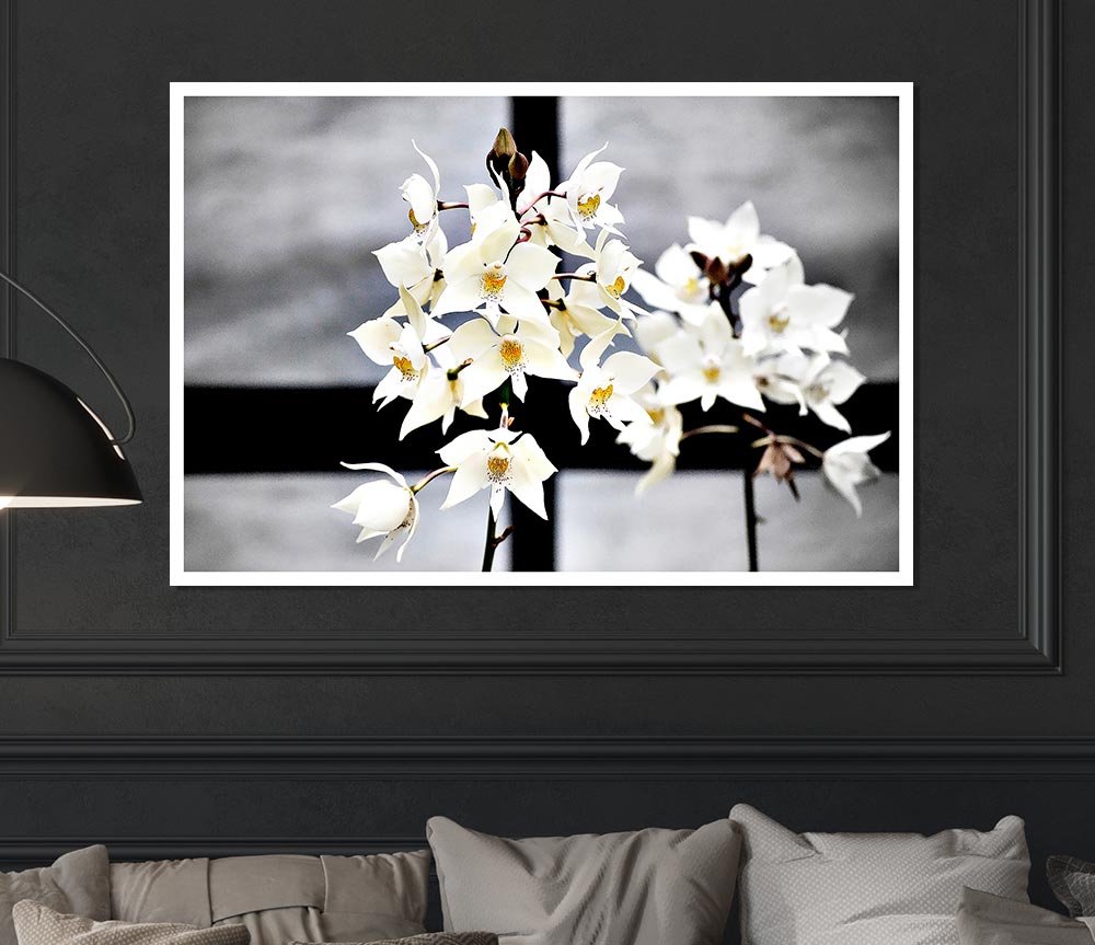 White Snowdrop Cross Print Poster Wall Art