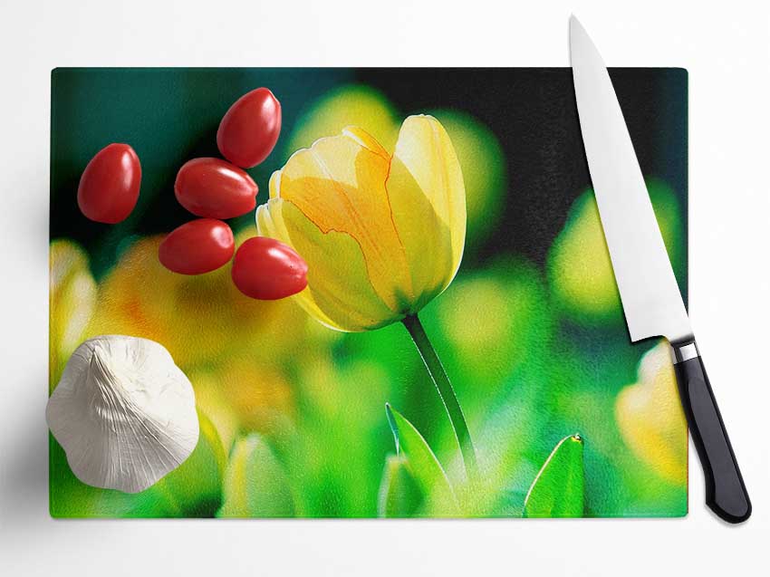 Yellow Tulip Sunlight Glass Chopping Board