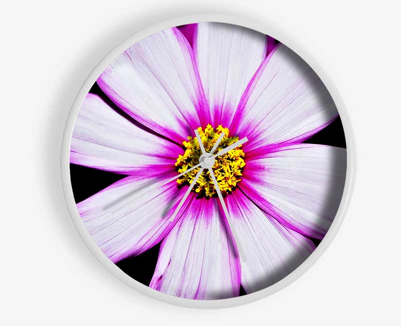 Pink Petal Stunner Clock - Wallart-Direct UK