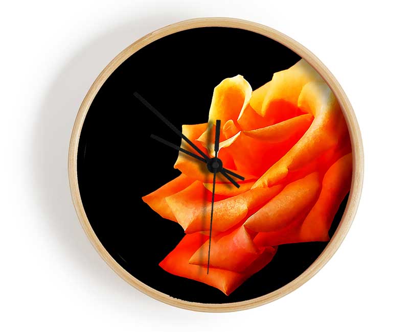 Single Orange Rose In Bloom Clock - Wallart-Direct UK