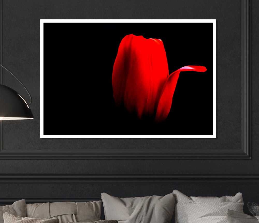 Fire Red Tulip Petal Print Poster Wall Art