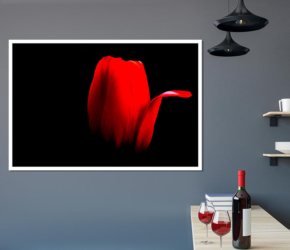 Fire Red Tulip Petal Print Poster Wall Art