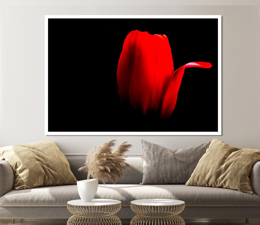 Fire Red Tulip Petal Print Poster Wall Art